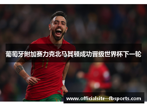 葡萄牙附加赛力克北马其顿成功晋级世界杯下一轮 葡萄牙附加赛力克北马其顿成功晋级世界杯下一轮